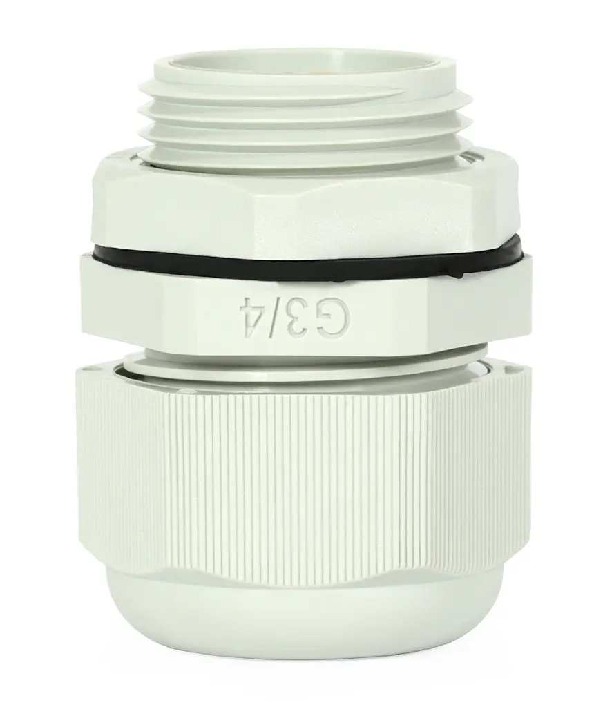 m5784+++.webp