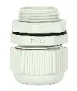 m5784+++.webp