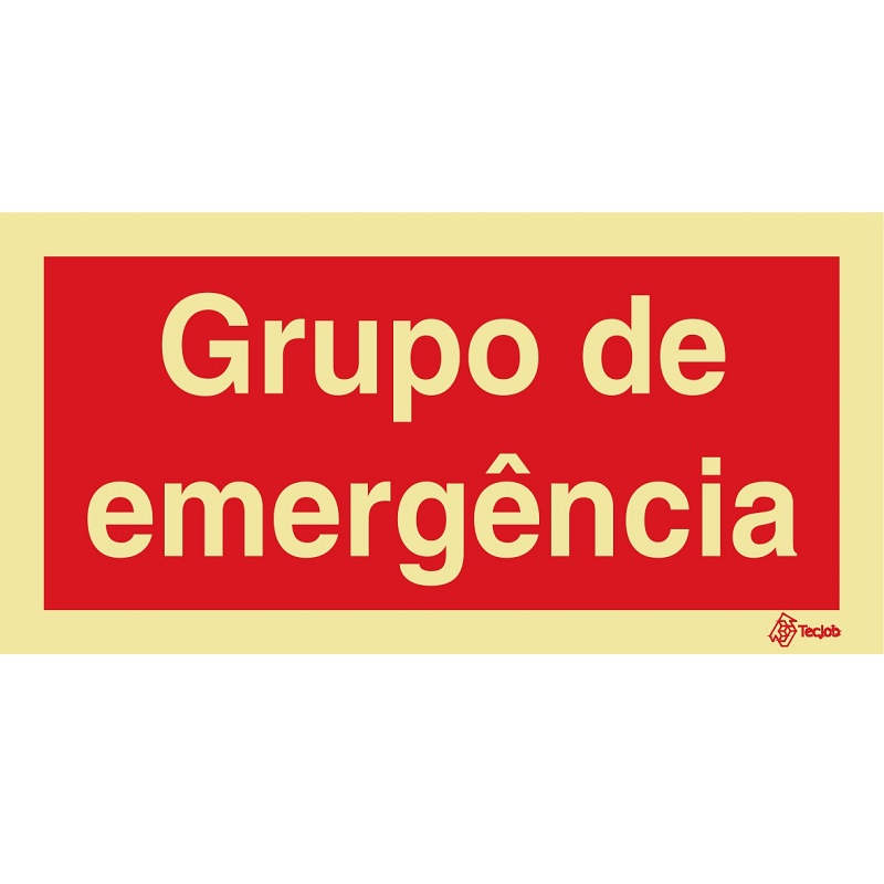 SINAL FOTOLUMINESCENTE GRUPO DE EMERGÊNCIA 200x100mm
