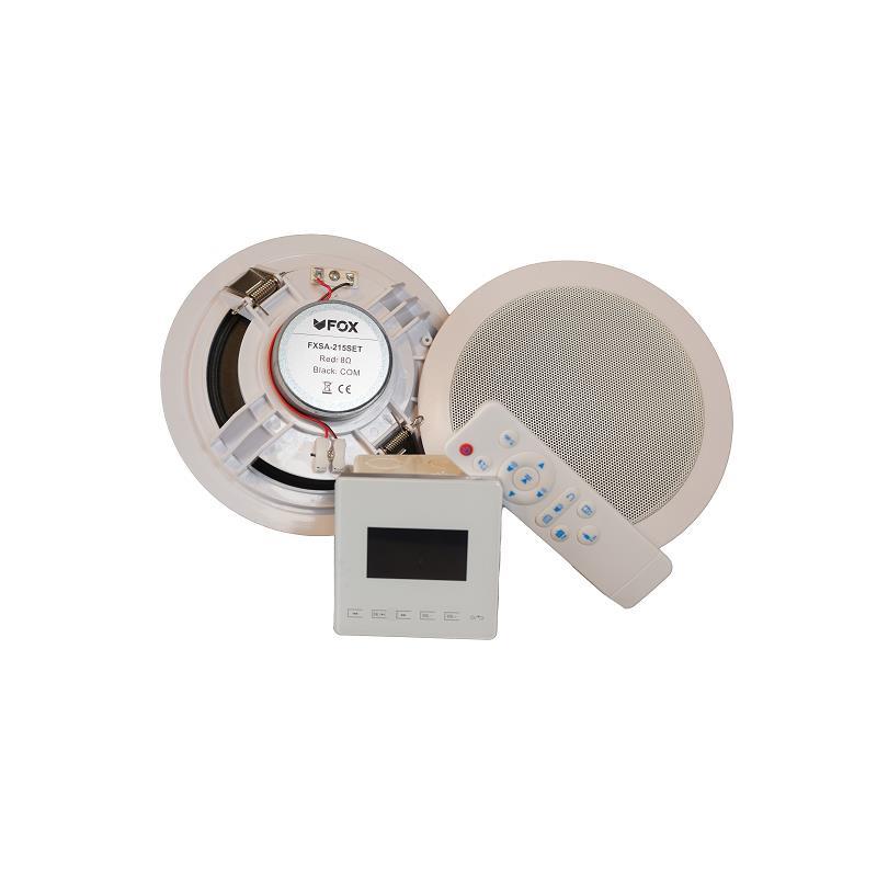 AMPLIFICADOR DE PARED USB MICRO SD RADIO FM 15W