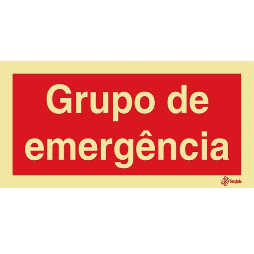 [I0616A] SINAL FOTOLUMINESCENTE GRUPO DE EMERGÊNCIA 200x100mm